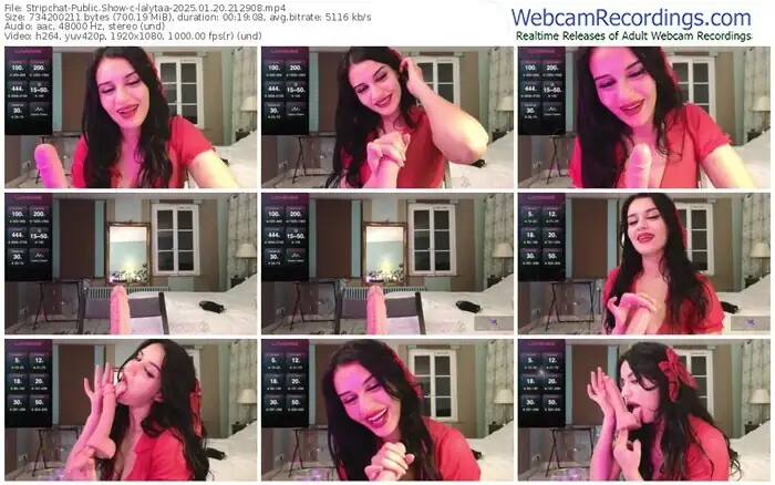 2025/01/20/stripchat-lalytaa-21-29-08