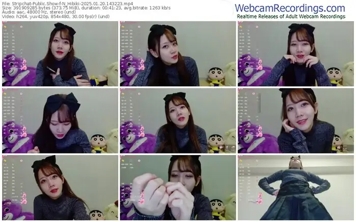 2025/01/20/stripchat-n_hibiki-14-32-23