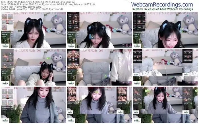 2025/01/20/stripchat-sheep-1-12-14-58