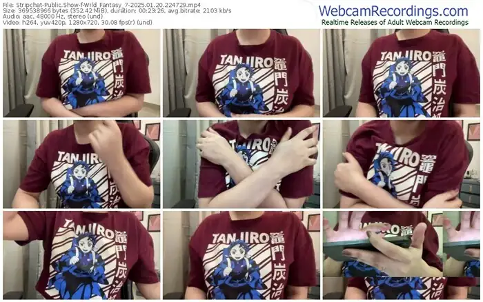 2025/01/20/stripchat-wild_fantasy_7-22-47-29