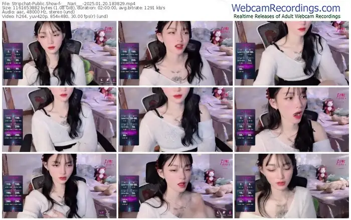 2025/01/20/stripchat-___nari___-18-38-29