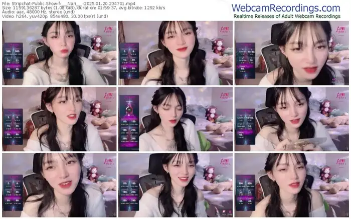 2025/01/20/stripchat-___nari___-23-47-01