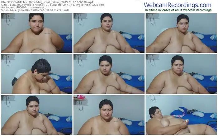 2025/01/20/stripchat-big_small_h0rny_-05-06-28