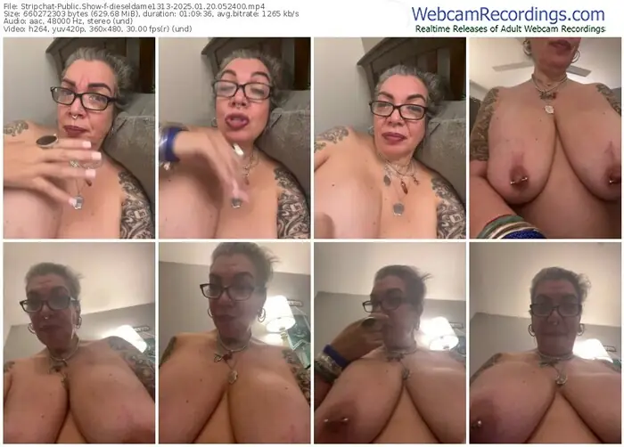 2025/01/20/stripchat-dieseldame1313-05-24-00