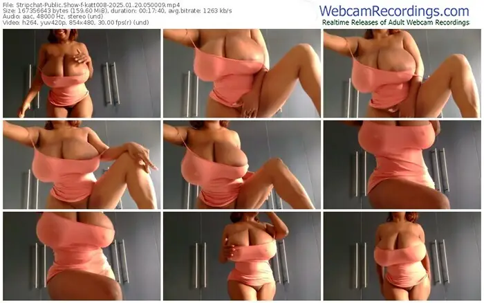 2025/01/20/stripchat-katt008-05-00-09