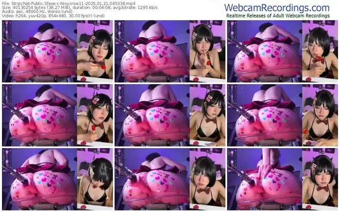 2025/01/21/stripchat-nixycrow11-04-53-38