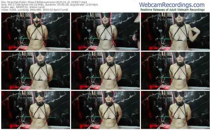 2025/01/21/stripchat-bdsmsumision-23-30-17