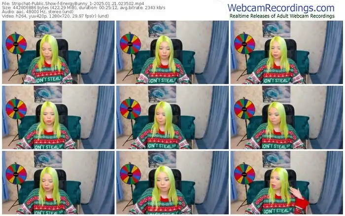 2025/01/21/stripchat-energybunny_1-02-35-02