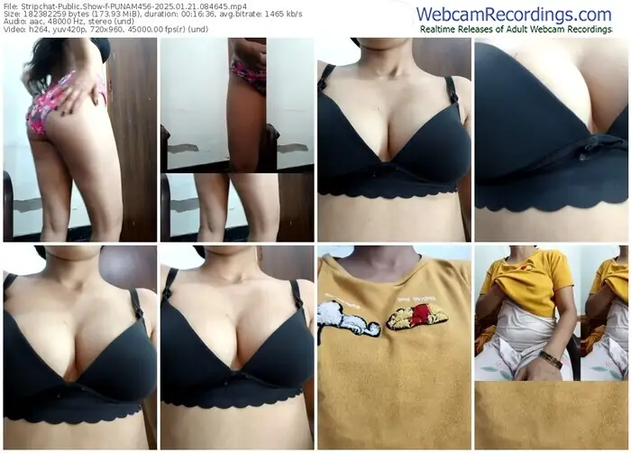 2025/01/21/stripchat-punam456-08-46-45
