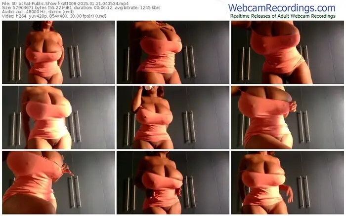 2025/01/21/stripchat-katt008-04-05-34