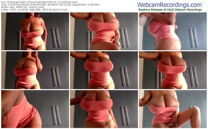 2025/01/21/stripchat-katt008-04-30-35