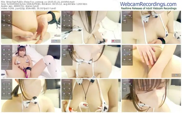 2025/01/21/stripchat-xx_yomogi_xx-10-09-56