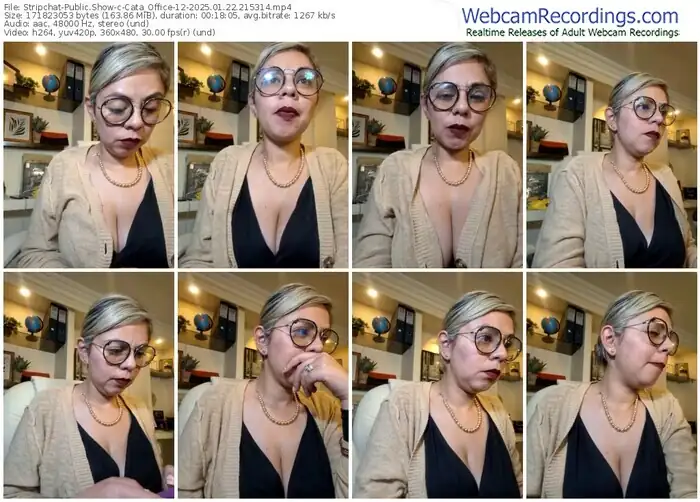 2025/01/22/stripchat-cata_office-12-21-53-14