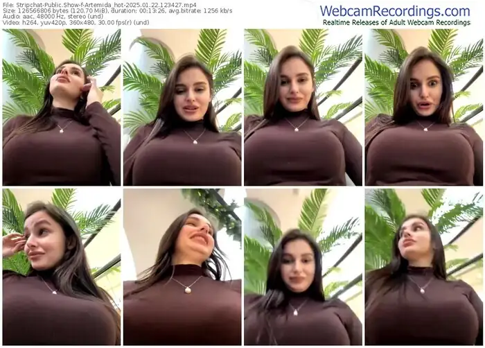 2025/01/22/stripchat-artemida_hot-12-34-27