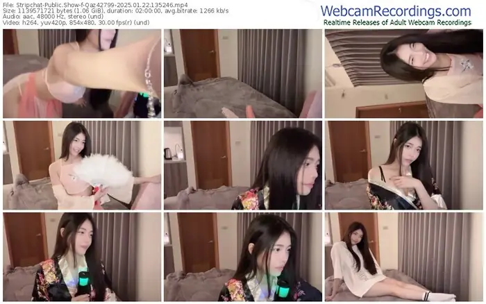 2025/01/22/stripchat-qaz42799-13-52-46