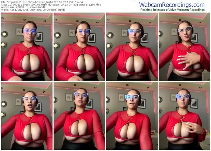 2025/01/22/stripchat-seized_lust-19-32-16