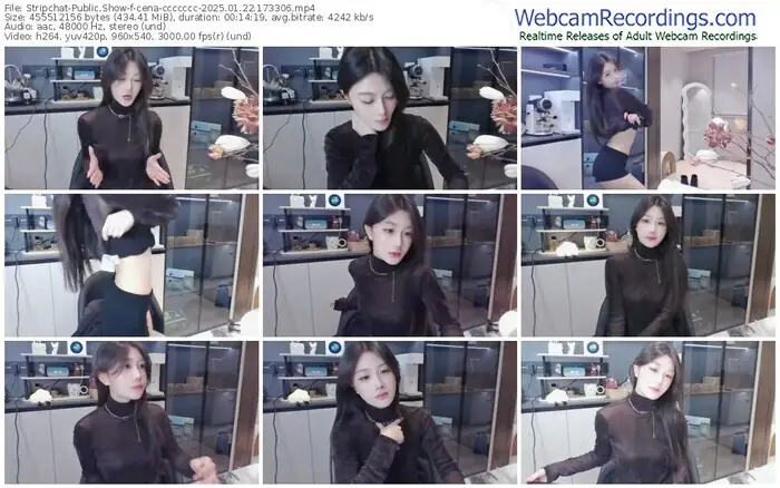 2025/01/22/stripchat-cena-ccccccc-17-33-06
