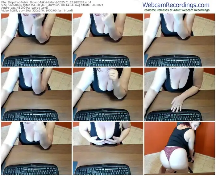 2025/01/23/stripchat-nikkiholland-09-52-28