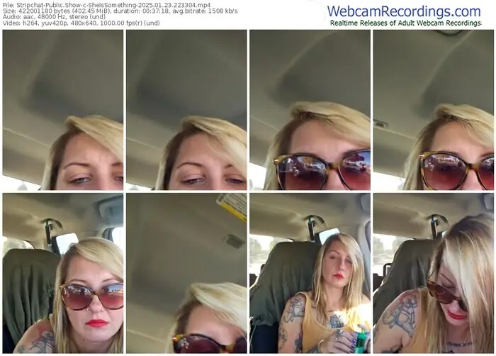 2025/01/23/stripchat-sheissomething-22-33-04