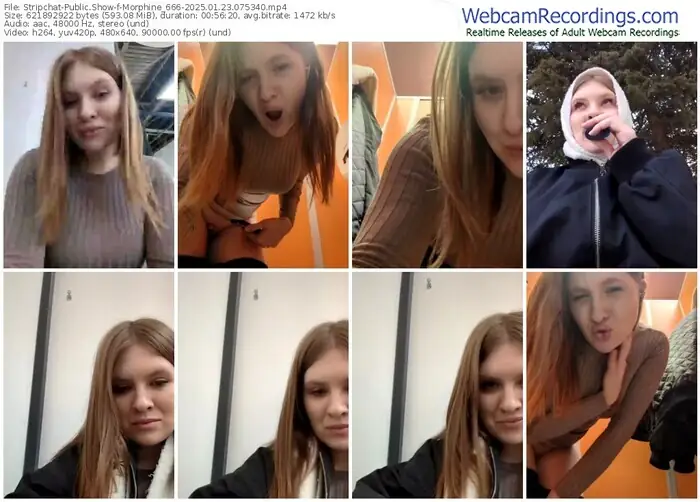 2025/01/23/stripchat-morphine_666-07-53-40
