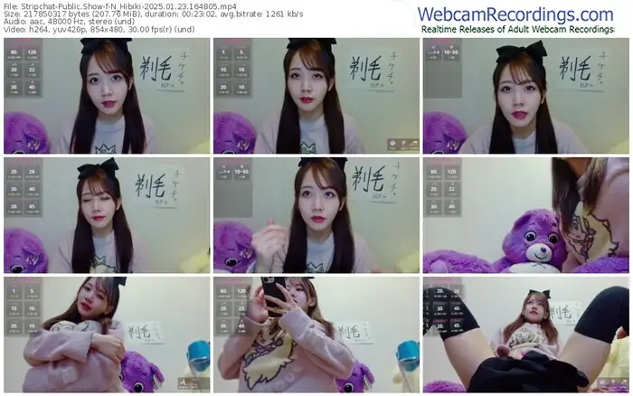 2025/01/23/stripchat-n_hibiki-16-48-05
