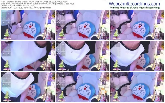2025/01/23/stripchat-your-sunshine-17-07-29