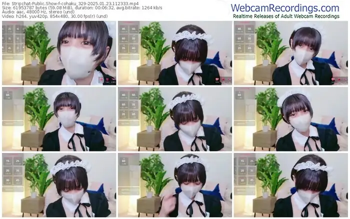 2025/01/23/stripchat-cohaku_329-11-23-33