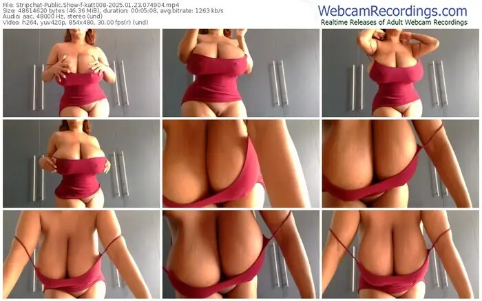 2025/01/23/stripchat-katt008-07-49-04
