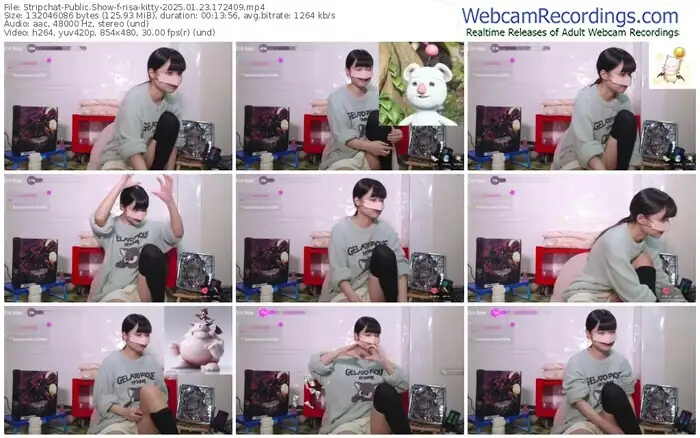 2025/01/23/stripchat-risa-kitty-17-24-09