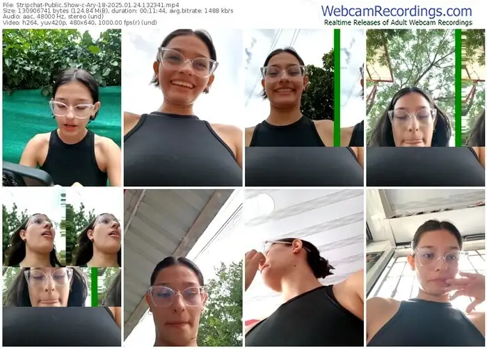 2025/01/24/stripchat-ary-18-13-23-41