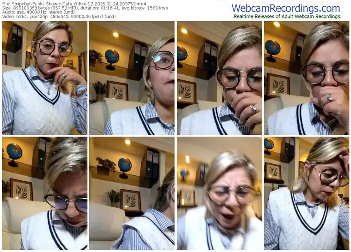 2025/01/24/stripchat-cata_office-12-20-37-53