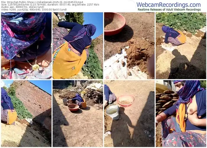 2025/01/24/stripchat-indiankanak-06-45-33
