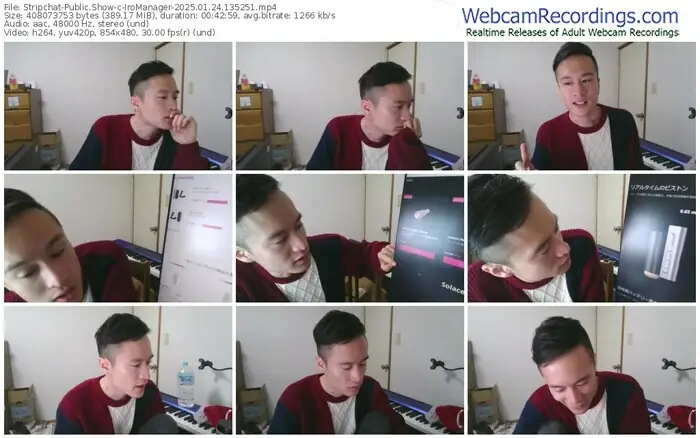 2025/01/24/stripchat-iromanager-13-52-51