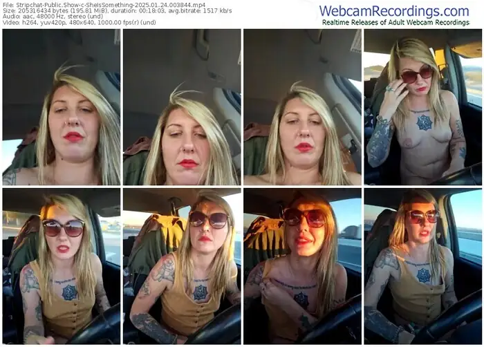 2025/01/24/stripchat-sheissomething-00-38-44