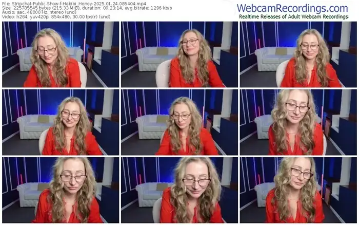 2025/01/24/stripchat-habibi_honey-08-54-04
