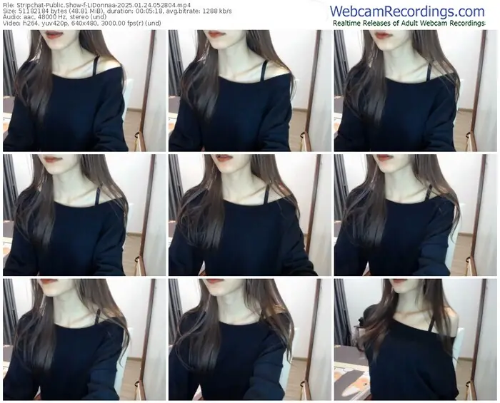 2025/01/24/stripchat-lidonnaa-05-28-04