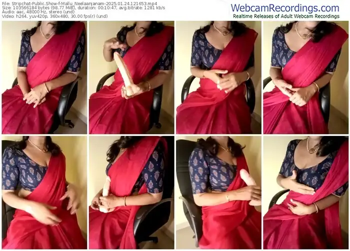 2025/01/24/stripchat-mallu_neelaanjanam-12-16-53