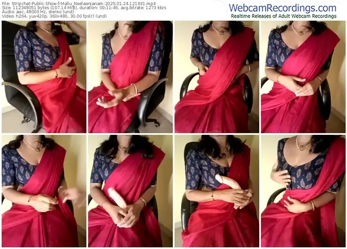 2025/01/24/stripchat-mallu_neelaanjanam-12-19-31