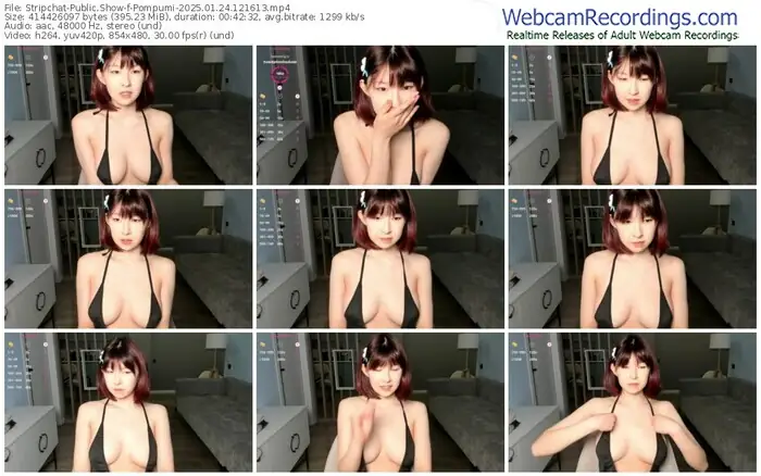 2025/01/24/stripchat-pompumi-12-16-13
