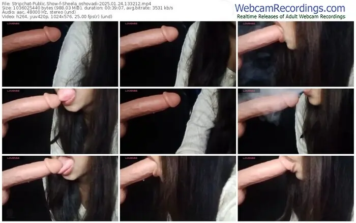 2025/01/24/stripchat-sheela_oshovadi-13-32-12