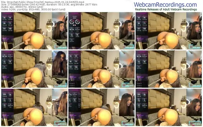 2025/01/24/stripchat-xochitl_namuu-04-35-55