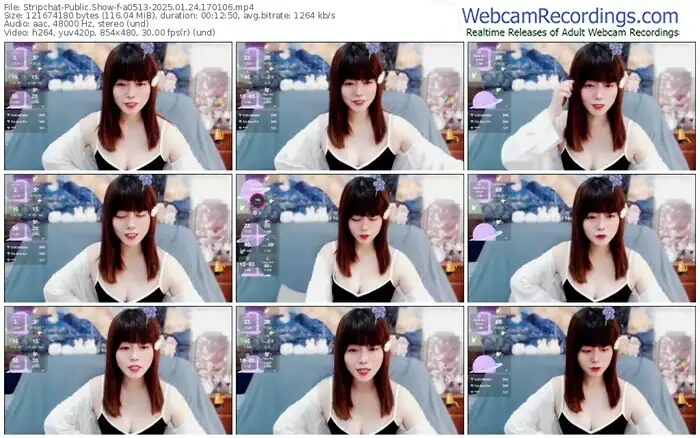 2025/01/24/stripchat-a0513-17-01-06