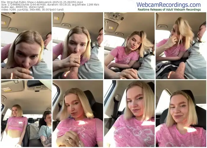 2025/01/25/stripchat-adelovenick-09-20-51