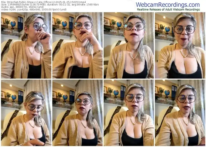 2025/01/25/stripchat-cata_office-12-15-03-53