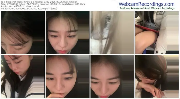 2025/01/25/stripchat-chengyu_0702-08-31-42