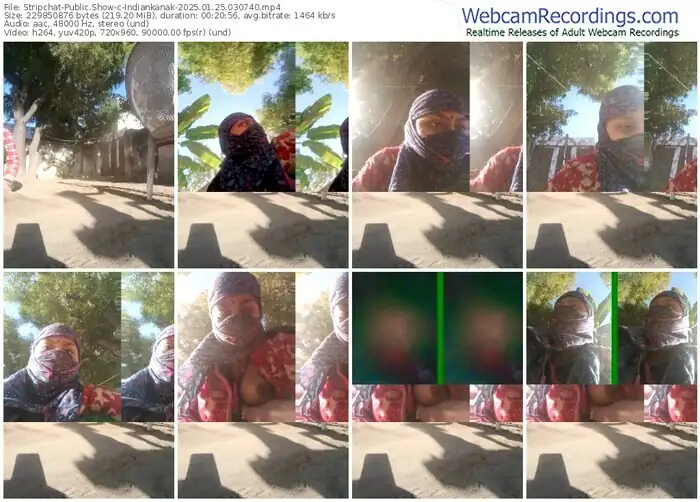 2025/01/25/stripchat-indiankanak-03-07-40