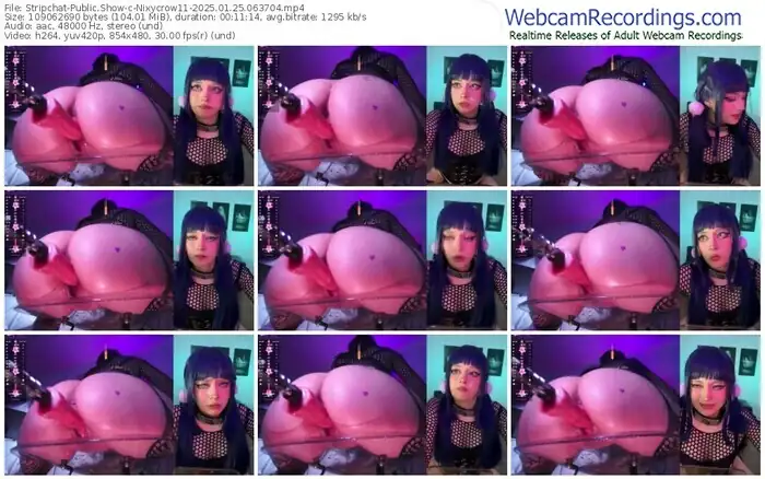 2025/01/25/stripchat-nixycrow11-06-37-04