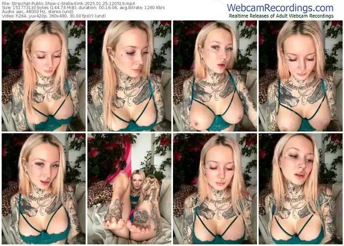 2025/01/25/stripchat-stella-kink-12-05-19