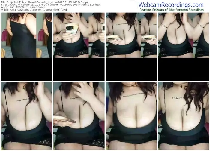 2025/01/25/stripchat-farawla_elgmda-16-07-46