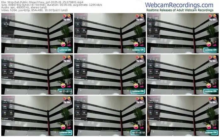 2025/01/25/stripchat-foxx_girl-07-08-01